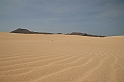 Kanary_2010 088